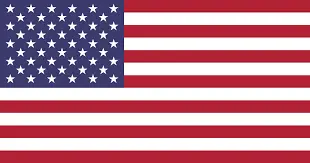 american flag-Janesville