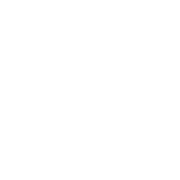 ce logo Janesville