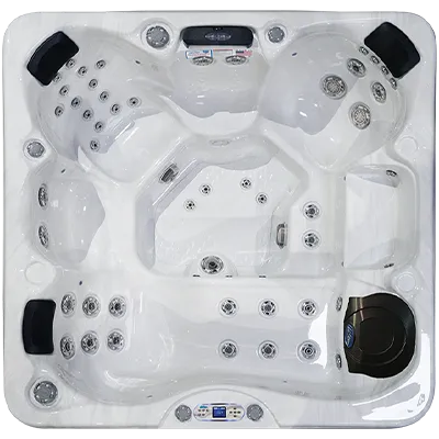 Avalon EC-849L hot tubs for sale in Janesville