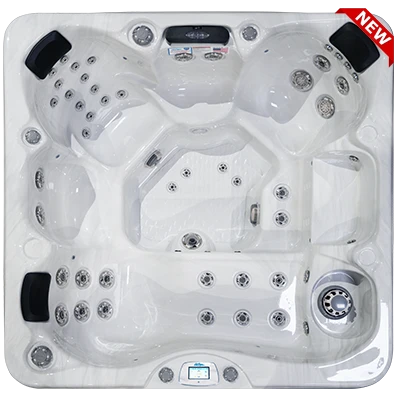 Avalon-X EC-849LX hot tubs for sale in Janesville