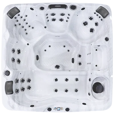 Avalon EC-867L hot tubs for sale in Janesville