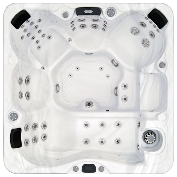 Avalon-X EC-867LX hot tubs for sale in Janesville