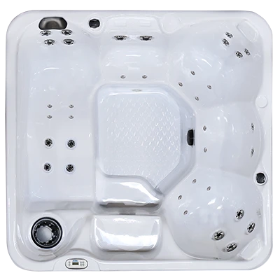 Hawaiian PZ-636L hot tubs for sale in Janesville